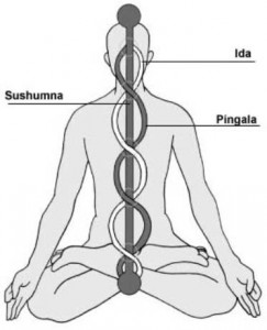 Sushumna Channel  & Ida and Pingala Channels