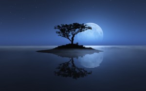 tree-sea-moon-reflection-island-stars-night-water-ocean-shadownature